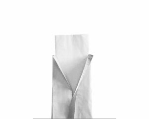 Packaged Napkin | In White Paper Bag