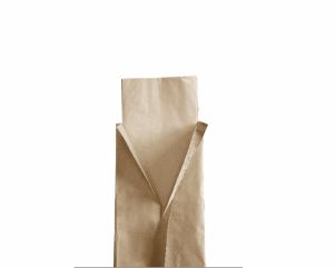 Packaged Napkin | In Brown Paper Bag